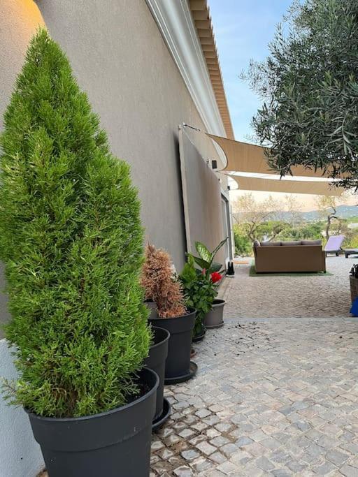 Quinta Da Alfarrobeira Peaceful Countryside Stay District de District de Faro Extérieur photo