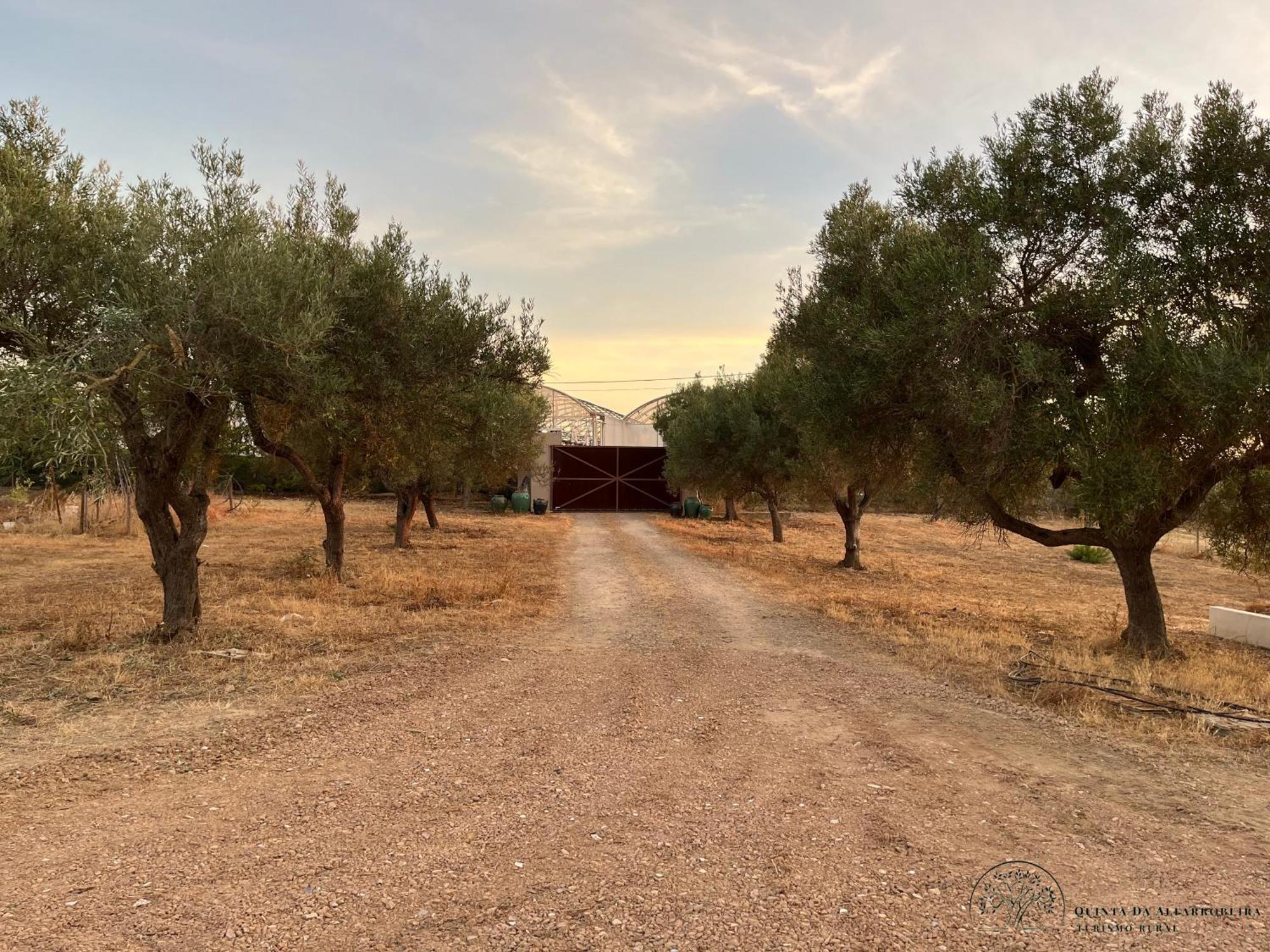 Quinta Da Alfarrobeira Peaceful Countryside Stay District de District de Faro Extérieur photo